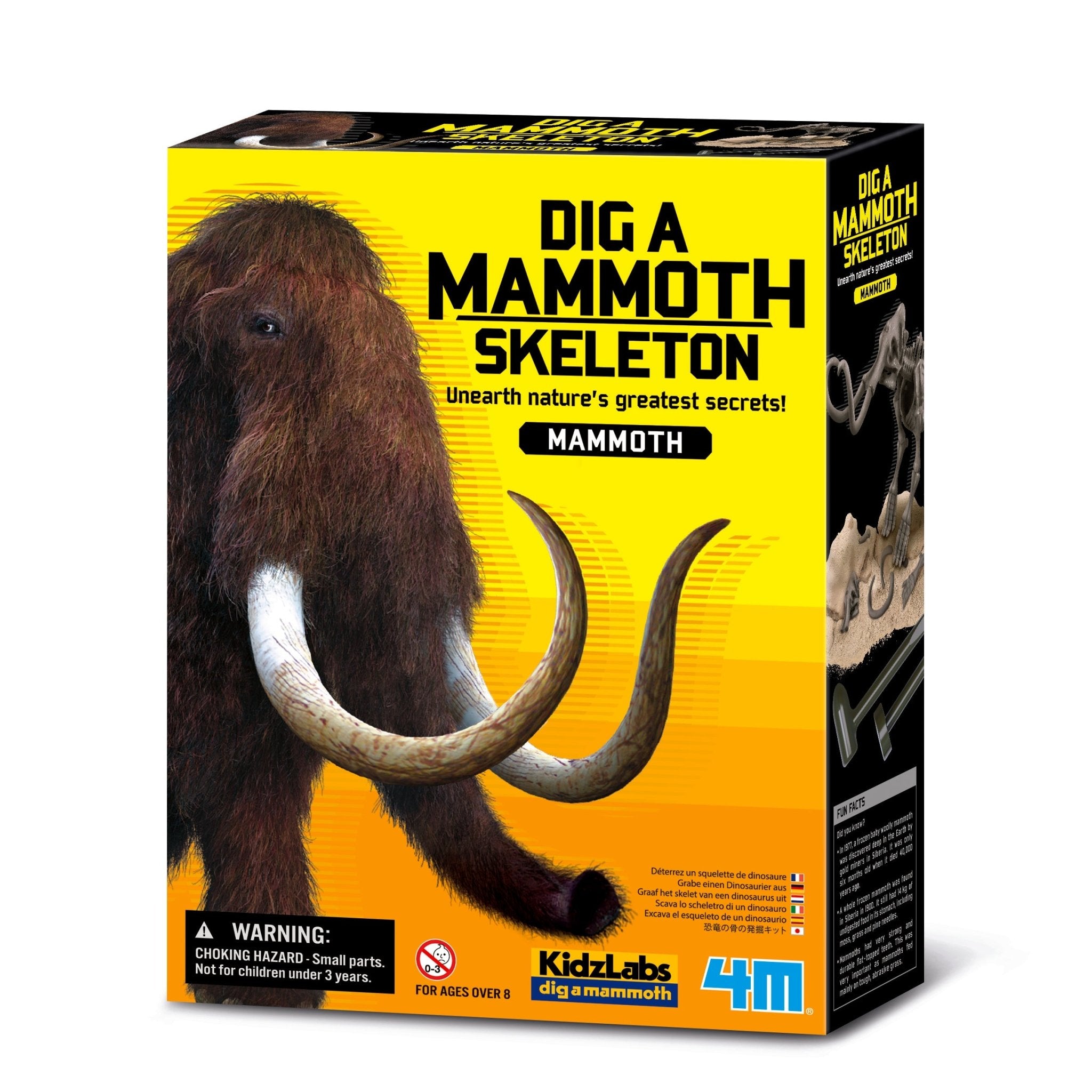 4M Kidz Labs / Mammoth Skeleton Excavation - Premium for Kids in Qatar | Toysaro.com